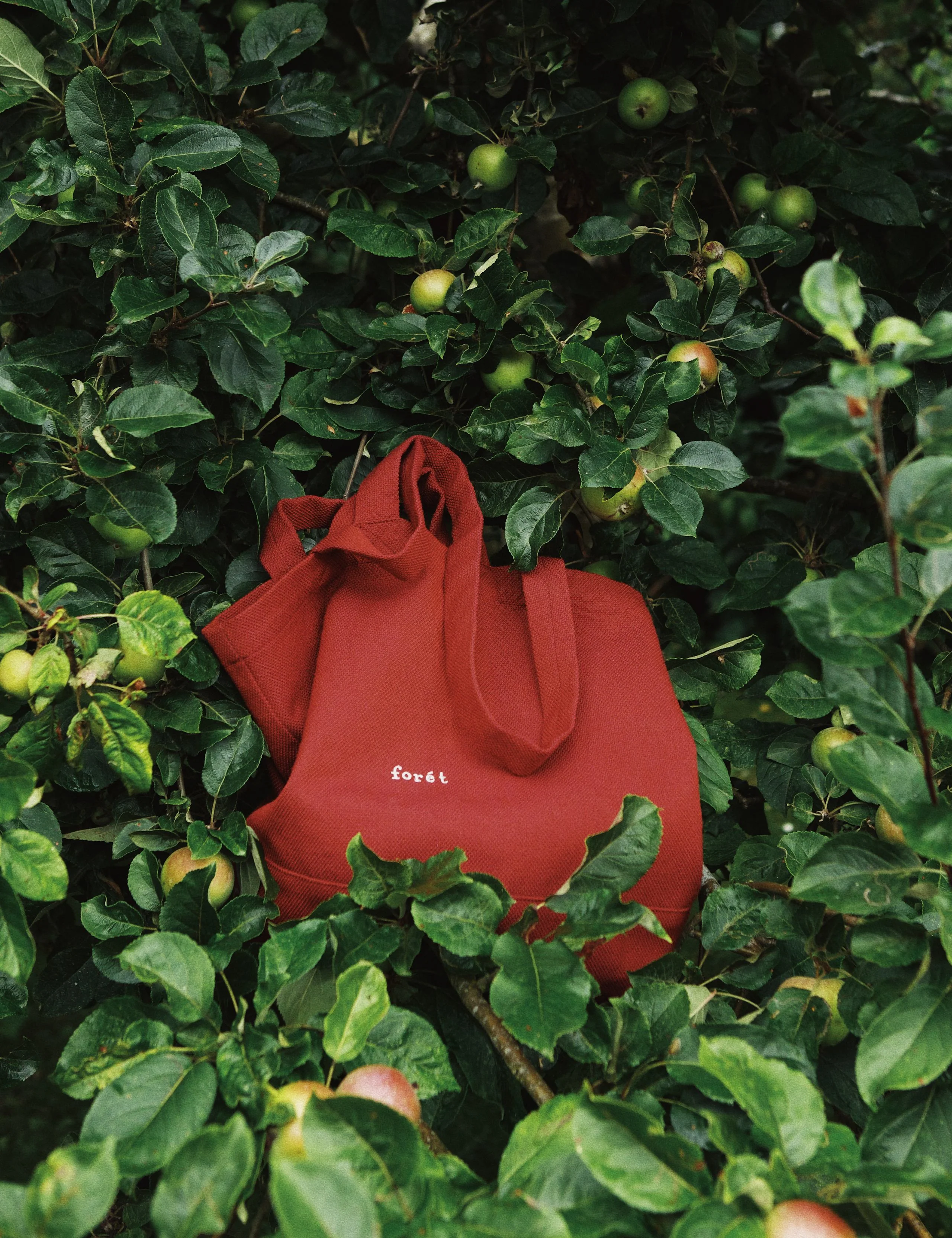 FORÉT TOTE BAG - RED - Image 2