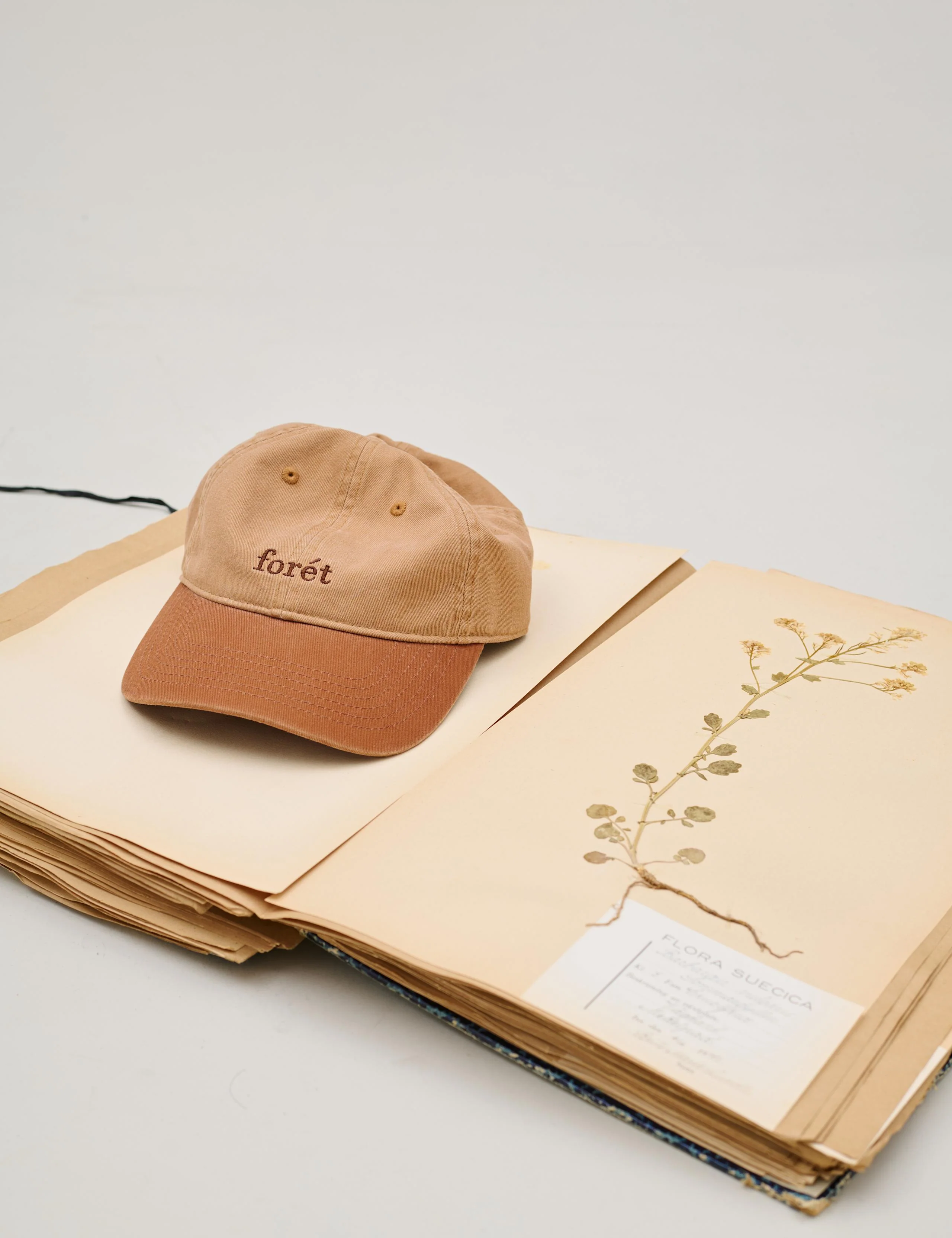 HAWK WASHED 2-TONE CAP - KHAKI/BROWN - Image 3