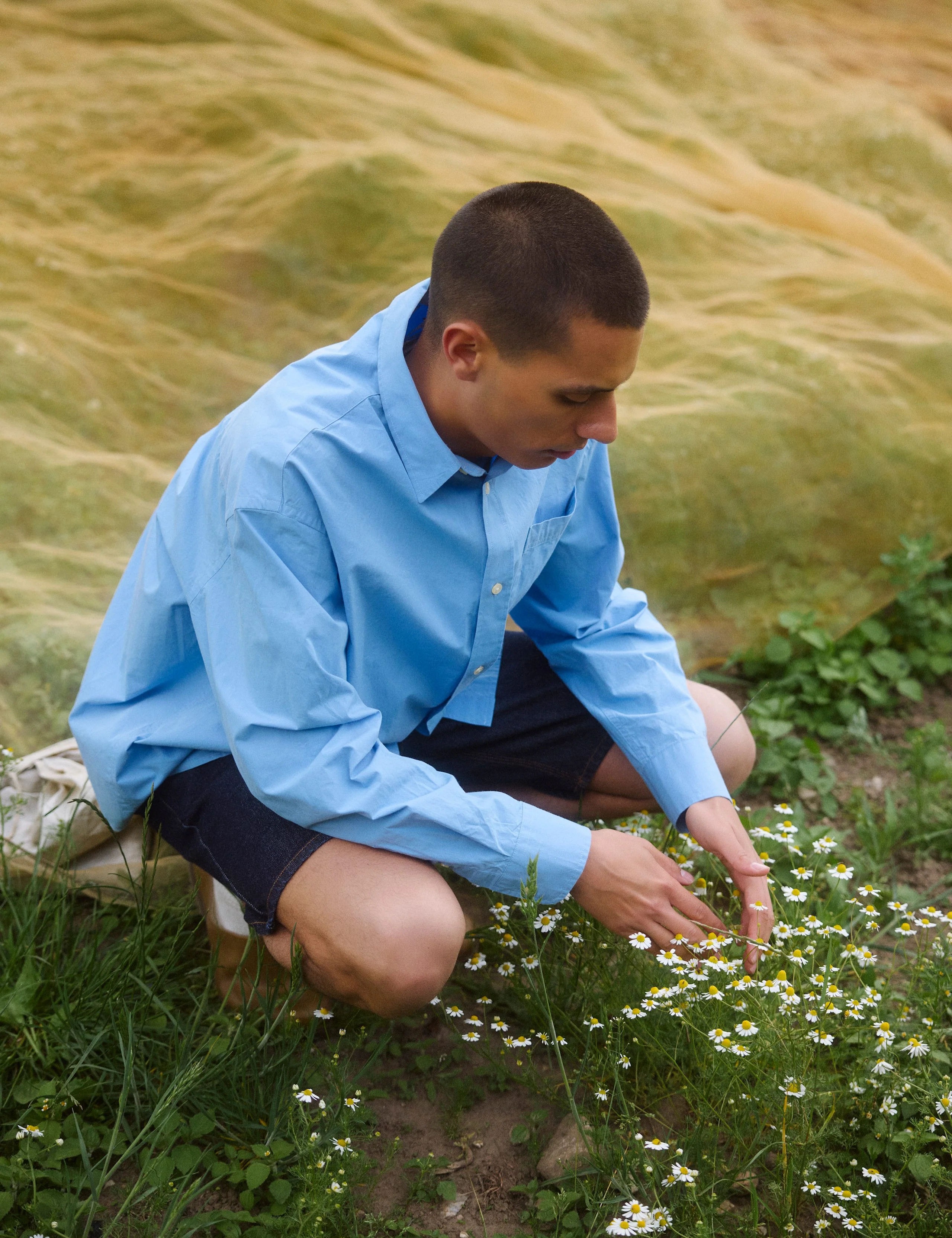 ROSE POPLIN SHIRT - LIGHT BLUE - Image 3